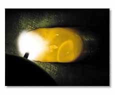 Gas Metal Arc Welding (MIG) Demonstration